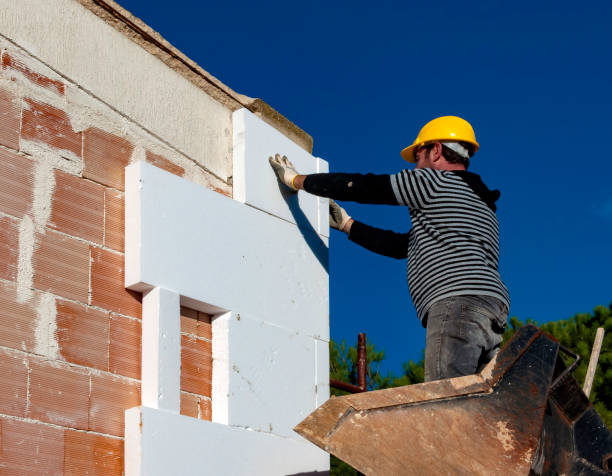 Best Eco-Friendly Insulation in Wrightstown, WI